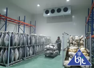 Tingkatkan Efisiensi dan Kualitas Produk dengan Air Blast Freezer yang Andal